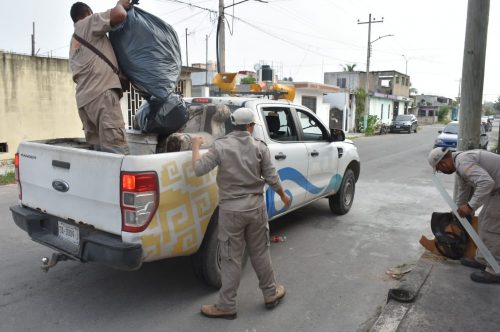 INICIA AYUNTAMIENTO DE OPB TRABAJOS PARA LA ELIMINACIÓN DE CRIADEROS DE MOSCOS