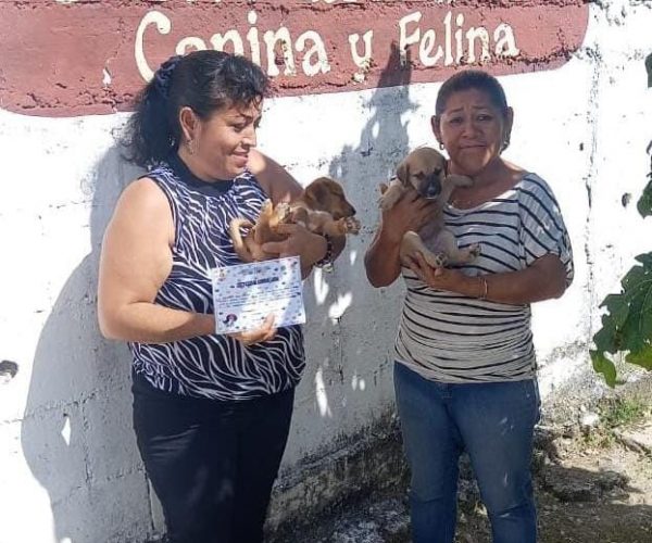 CONTINÚA LA CAMPAÑA DE ADOPCIÓN DE CANINOS Y FELINOS EN OPB