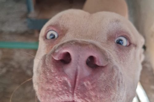 Servicio a la comunidad