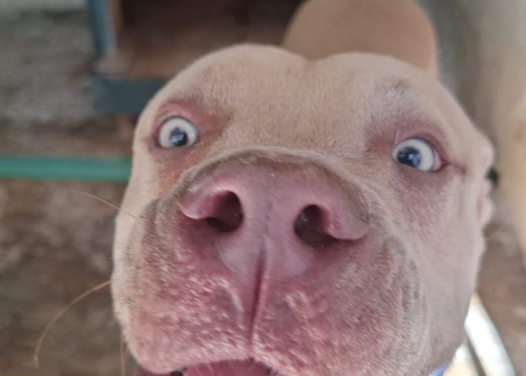 Servicio a la comunidad