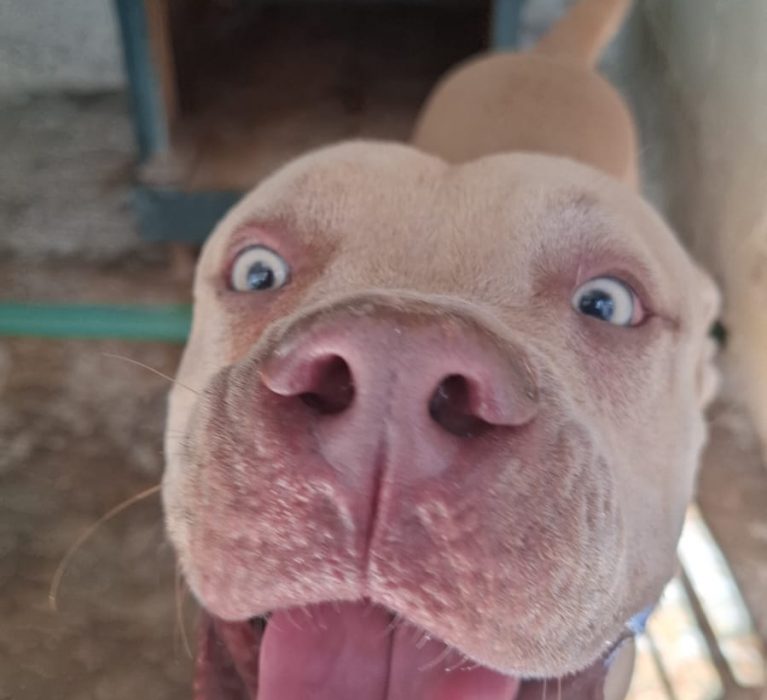 Servicio a la comunidad