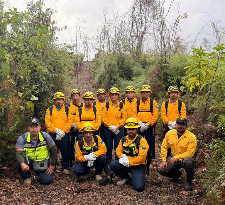 Presenta Ayuntamiento de Othón P. Blanco Plan de Acción ante la Temporada de Incendios Forestales 2026.