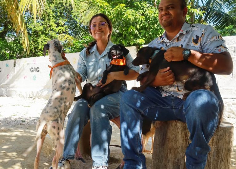 En el Día Mundial del Perro, llaman a la adopción responsable y anuncian esterilizaciones a bajo costo en Othón P. Blanco.