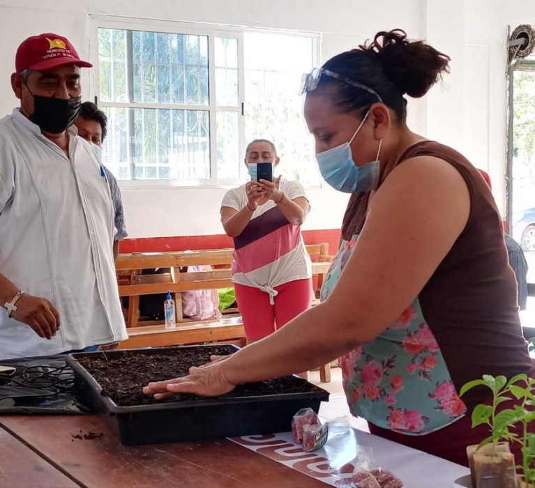 PROMUEVE AYUNTAMIENTO DE LA TRANSFORMACIÓN LA PRODUCCIÓN DE HORTALIZAS CASERAS.