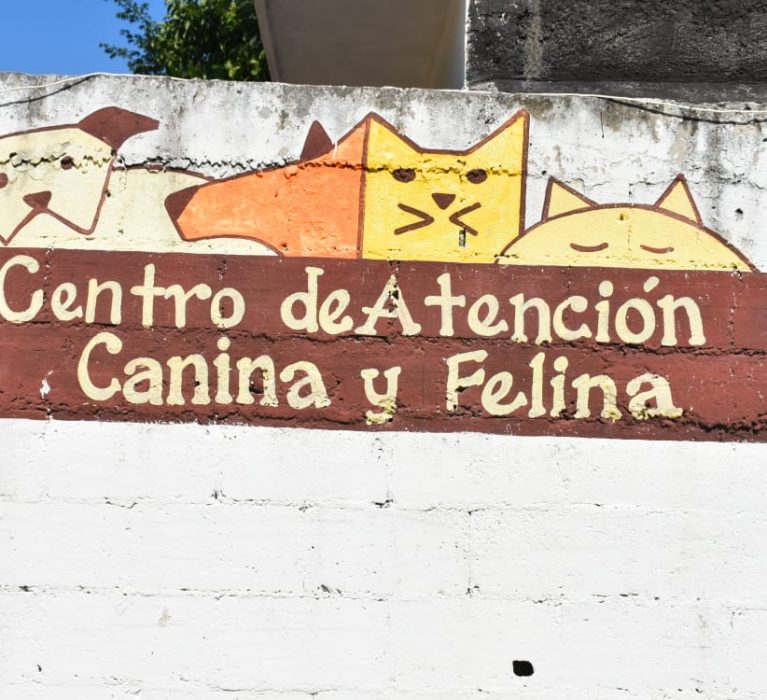 AYUNTAMIENTO DE LA TRANSFORMACIÓN CONVOCA A JORNADA DE ADOPCIÓN CANINA.