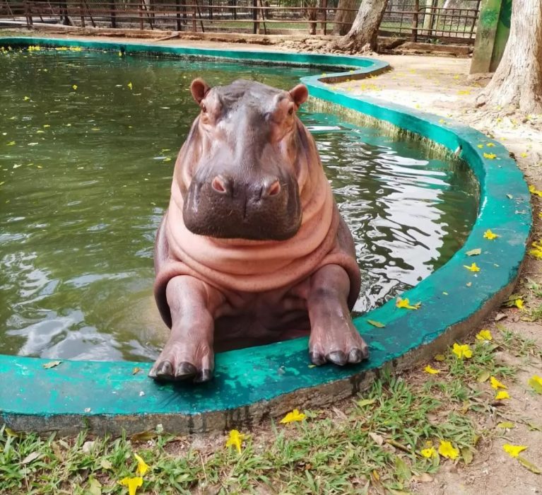 IMPULSA ZOO PAYO OBISPO EL CUIDADO DEL AMBIENTE Y ABRE PASO AL RECICLAJE