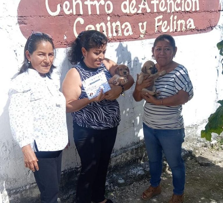 JORNADA DE ADOPCIÓN CANINA CON BUENA RESPUESTA DE LA CIUDADANÍA