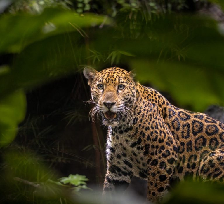 EL ZOOLÓGICO PAYO OBISPO DESPIDE LAS VACACIONES CON DIVERSAS ACTIVIDADES