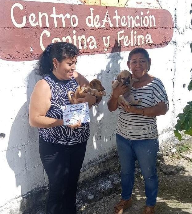 CONTINÚA LA CAMPAÑA DE ADOPCIÓN DE CANINOS Y FELINOS EN OPB