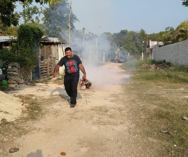 AYUNTAMIENTO DE OPB LLEVA A CABO FUMIGACIONES EN COLONIA AMPLIACIÓN SANTA ISABEL