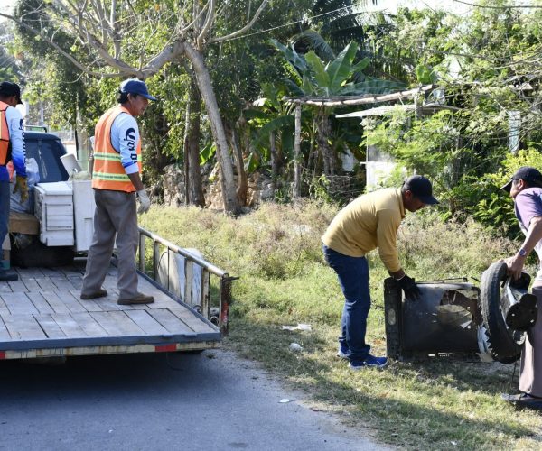 UNDÉCIMA JORNADA DE DESCACHARRIZACIÓN SERÁ REALIZADA EN SUBTENIENTE LÓPEZ