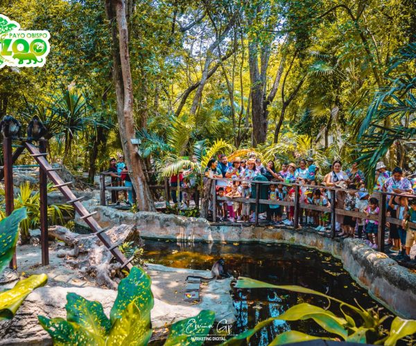 INAUGURARÁN CORAZÓN DE TAPITAS PARA RECICLAR EN EL ZOO