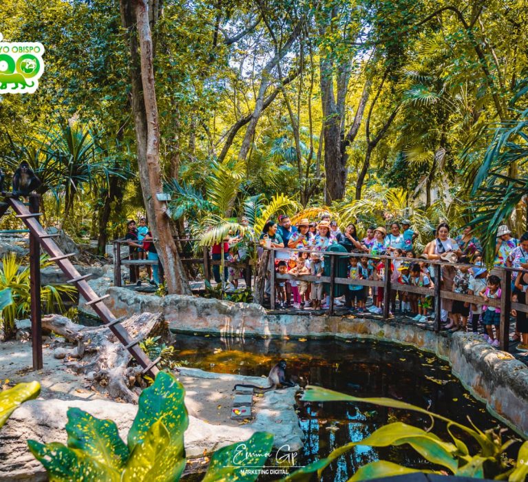 INAUGURARÁN CORAZÓN DE TAPITAS PARA RECICLAR EN EL ZOO
