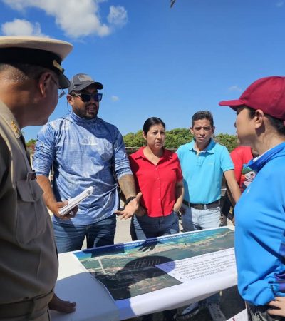 Recolectan más de 50 toneladas de sargazo en playas de Mahahual
