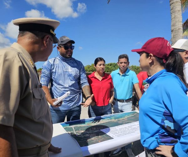Recolectan más de 50 toneladas de sargazo en playas de Mahahual