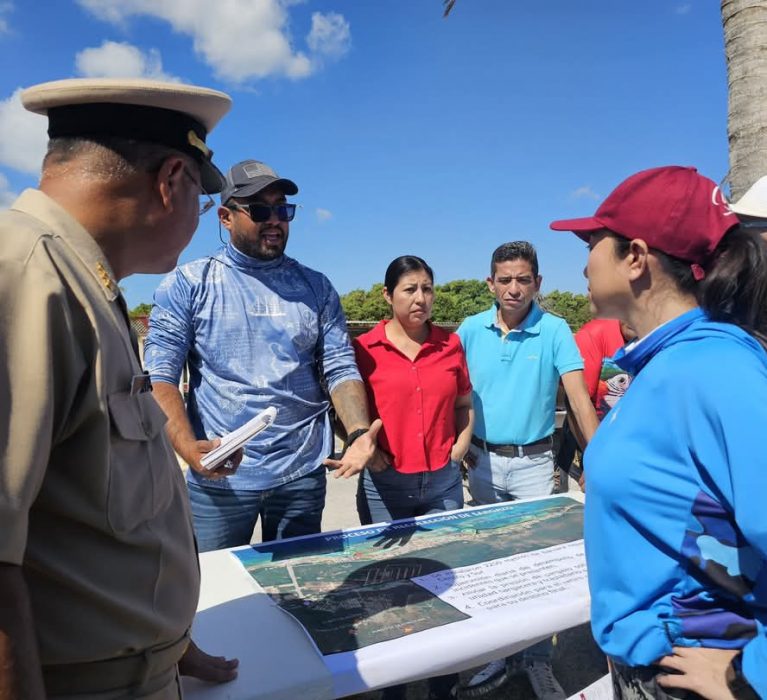 Recolectan más de 50 toneladas de sargazo en playas de Mahahual
