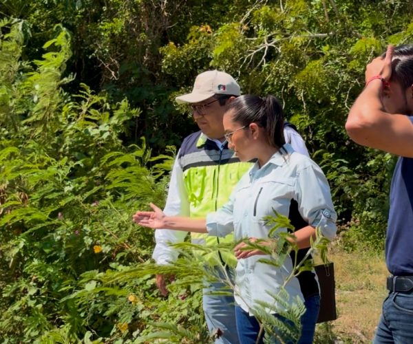 Inician limpieza profunda de canales pluviales en Chetumal