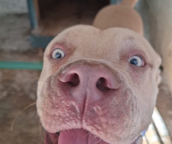 Servicio a la comunidad