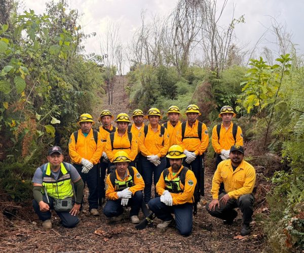 Presenta Ayuntamiento de Othón P. Blanco Plan de Acción ante la Temporada de Incendios Forestales 2026.