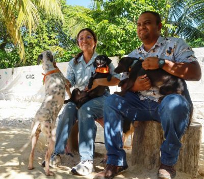En el Día Mundial del Perro, llaman a la adopción responsable y anuncian esterilizaciones a bajo costo en Othón P. Blanco.