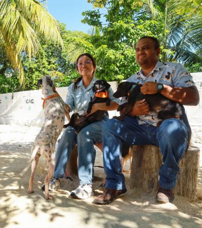 En el Día Mundial del Perro, llaman a la adopción responsable y anuncian esterilizaciones a bajo costo en Othón P. Blanco.