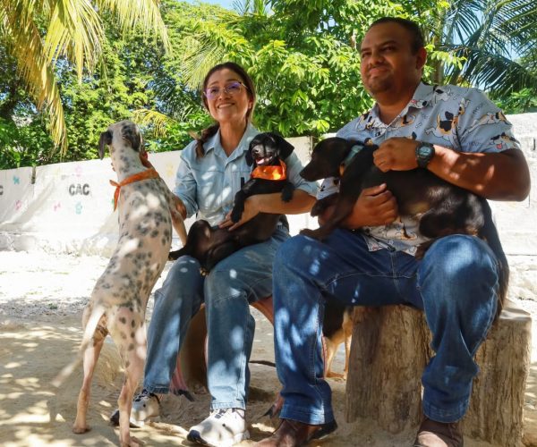 En el Día Mundial del Perro, llaman a la adopción responsable y anuncian esterilizaciones a bajo costo en Othón P. Blanco.