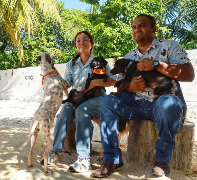 En el Día Mundial del Perro, llaman a la adopción responsable y anuncian esterilizaciones a bajo costo en Othón P. Blanco.